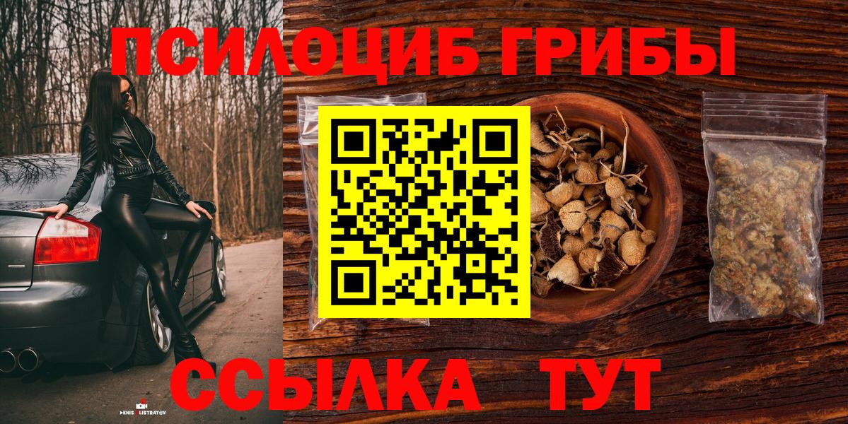 Ржев  Псилоцибиновые грибы Psilocybine cubensis  где продают наркотики  Вход с VPN 